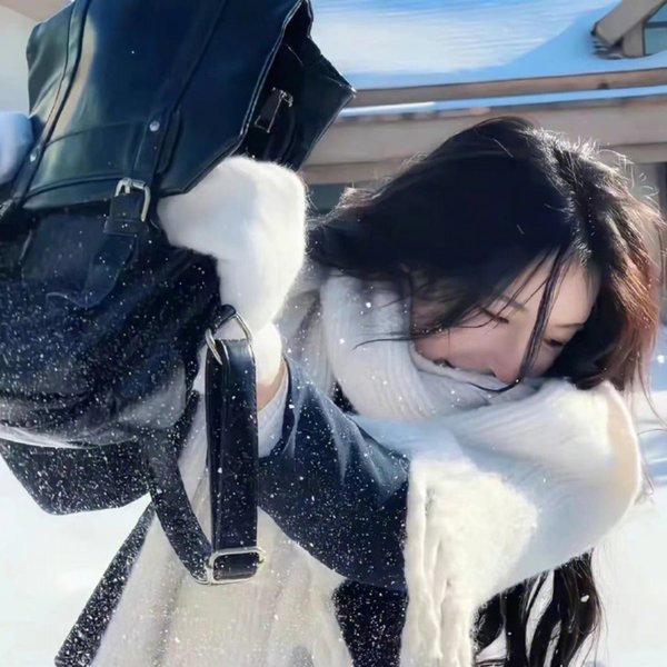 总统的分析
